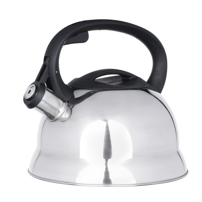 Чайник 2,5л "Корсика" индукция (сталь) (1/12)