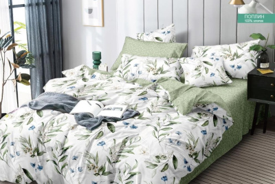 КПБ Поплин 2,0 сп с Евро 220*240 (1/6)