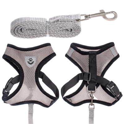 Шлейка с поводком 118см "Sweet puppy" размер ХL, цвет серый (1/1)