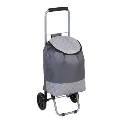 Тележка + сумка, до 30кг, 30х22х86см, 21л, брезент, колеса ЭВА d14,5см, 1цв VETTA  (1/10)