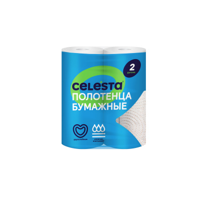 Полотенца бумажные 2 рулона (12)