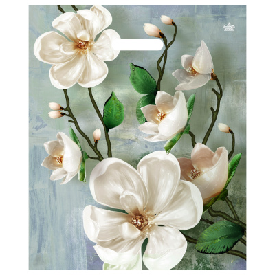 Пакет Богемия с вырубной ручкой, 45*38 см, 60 мкм, ПВД (50/500)