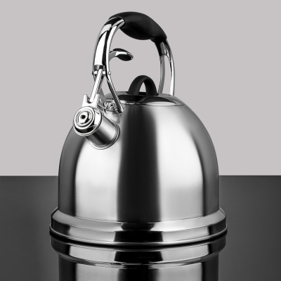 Чайник стальной 2.7л "Кламар", индукция,сталь, VETTA (1/12)