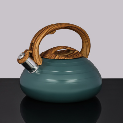 Чайник 3,0л Бенуа стальной индукция (1/12)