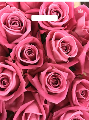 Пакет Джейми 400х310х60 вырубной (50/50/500)