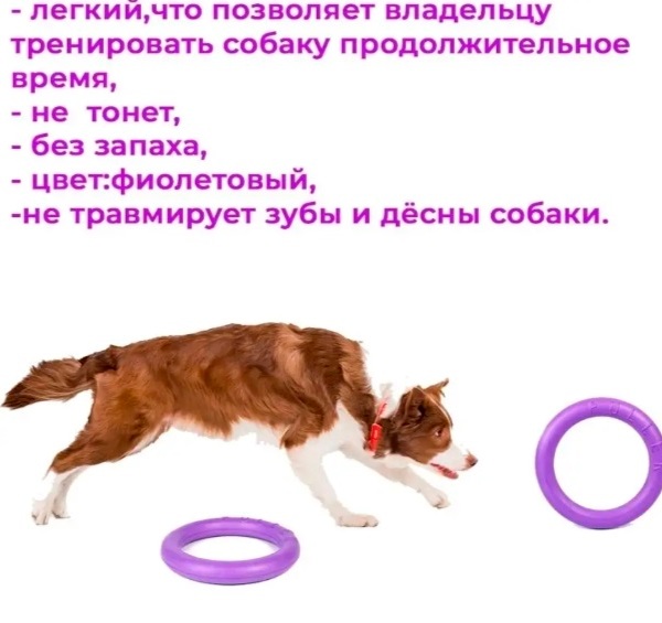 Кольцо - пуллер для собак средних пород "ЛЮБИМЫЙ БРО", цвет фиолетовый, d - 18.5см (1/10)
