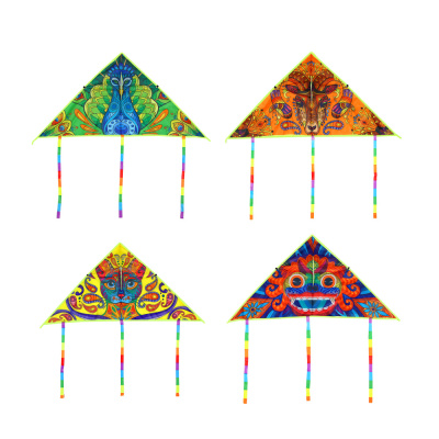 Воздушный змей "Летняя прогулка" 1,1м (нейлон) (1/12)