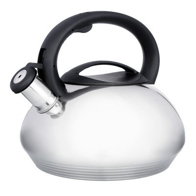 Чайник 3,0л Франсуа стальной индукция,сталь.(1/12)