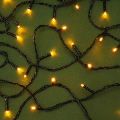 Гирлянда эл. вьюн улич, 10м, 100LED, шампань, пост.свеч., ПВХ зеленый, коннект, 220В СНОУ БУМ (1/1)