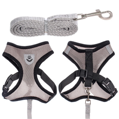 Шлейка с поводком 118см "Sweet puppy" размер S, цвет серый (1/1)