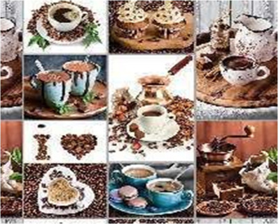 Клеенка столовая с ПВХ покрытием 1,2*20м на неткан. осн. "Мажор" (цена за 1м/min 20м)(1)