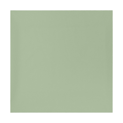 Наволочки 70х70см, 100% хлопок, поплин, 2шт, зеленый PROVANCE (1/56)